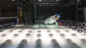 They’re big and they’re here. Carey Glass boasts an 850,000-square-foot plant in Ireland where it produces oversized IGU for shipping around the world. The company says it makes 98,000 square feet of fabricated glass products every year.